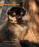 Madagascar - Click here to buy from Blurb