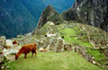 Machu Picchu, Peru