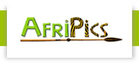 Images at Afripics